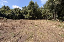 1547a Pine Valley Drive photo 4