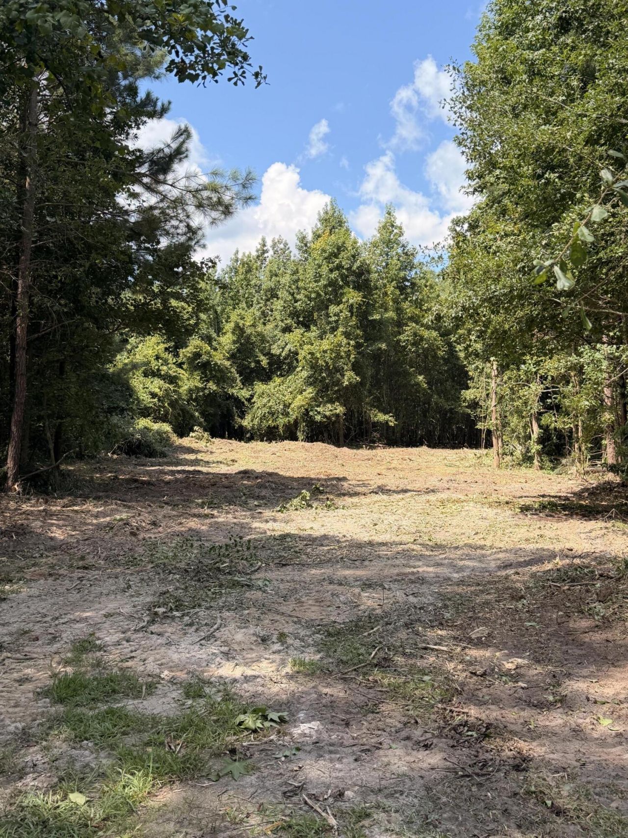 1547b Pine Valley Drive Photo 4