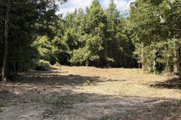 1547b Pine Valley Drive photo 4
