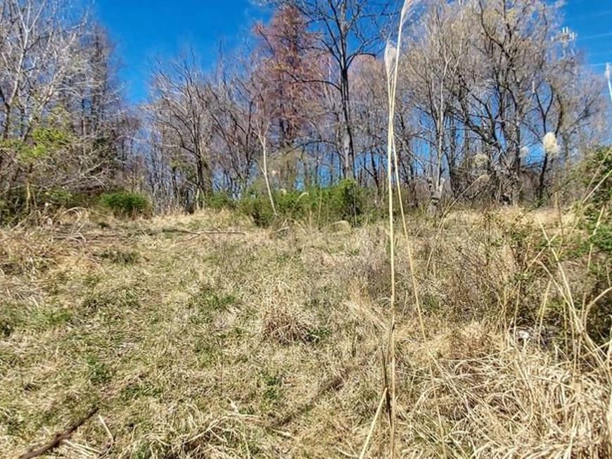 Please Call For Address, Dickerson, MD 20842 Main Photo