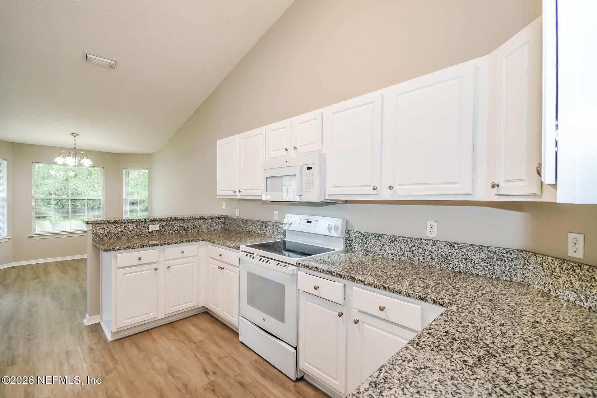 2125 Pine Tree Lane, Middleburg, FL 32068 Photo