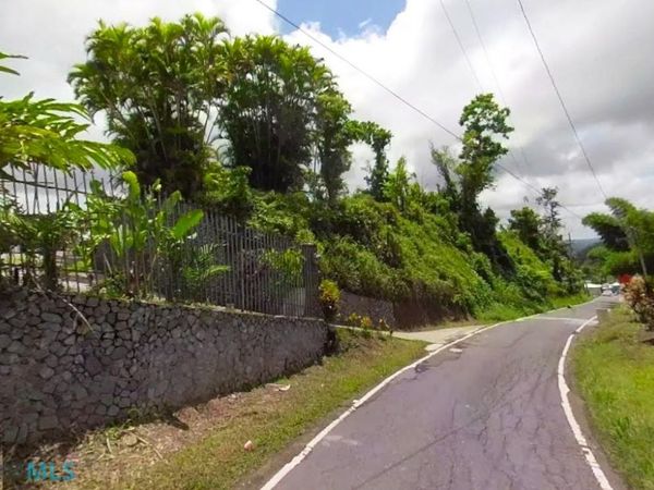 795 CARR 795, Unit 198, Aguas Buenas, PR 00703