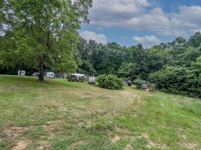 655 Roberts Lane, Glencoe, KY 41046 Photo 44