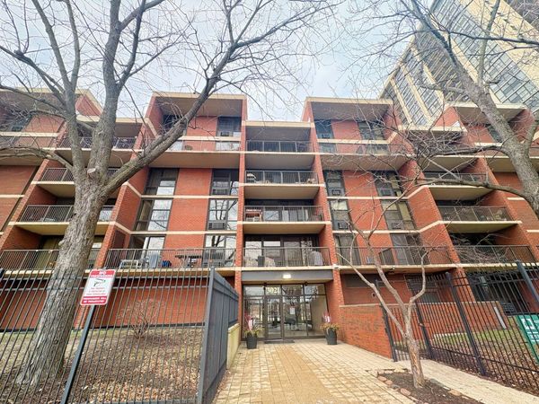 3021 S Michigan Avenue, Unit 306, Chicago, IL 60616