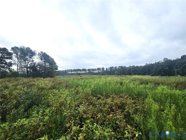 tbd Fredericks Hall Road, Mineral, VA 23117