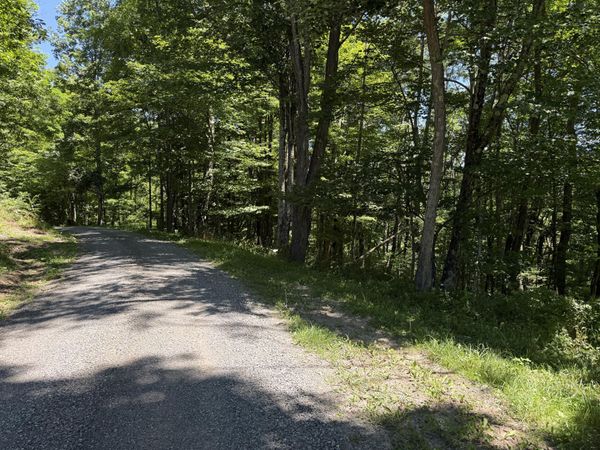 9 Lower Cherry Grove, Slatyfork, WV 26291