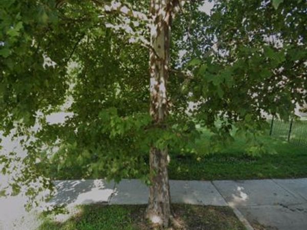 6010 S Union Avenue , Chicago, IL 60621