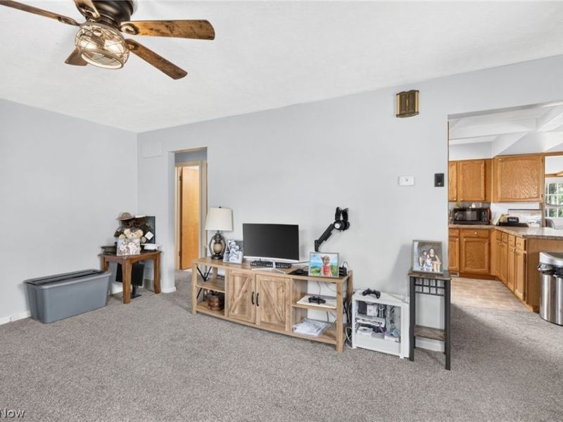 1313 Martin Road, Mogadore, OH 44260 Photo 11
