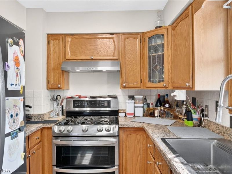 1313 Martin Road, Mogadore, OH 44260 Photo 7