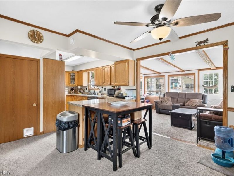 1313 Martin Road, Mogadore, OH 44260 Photo 8