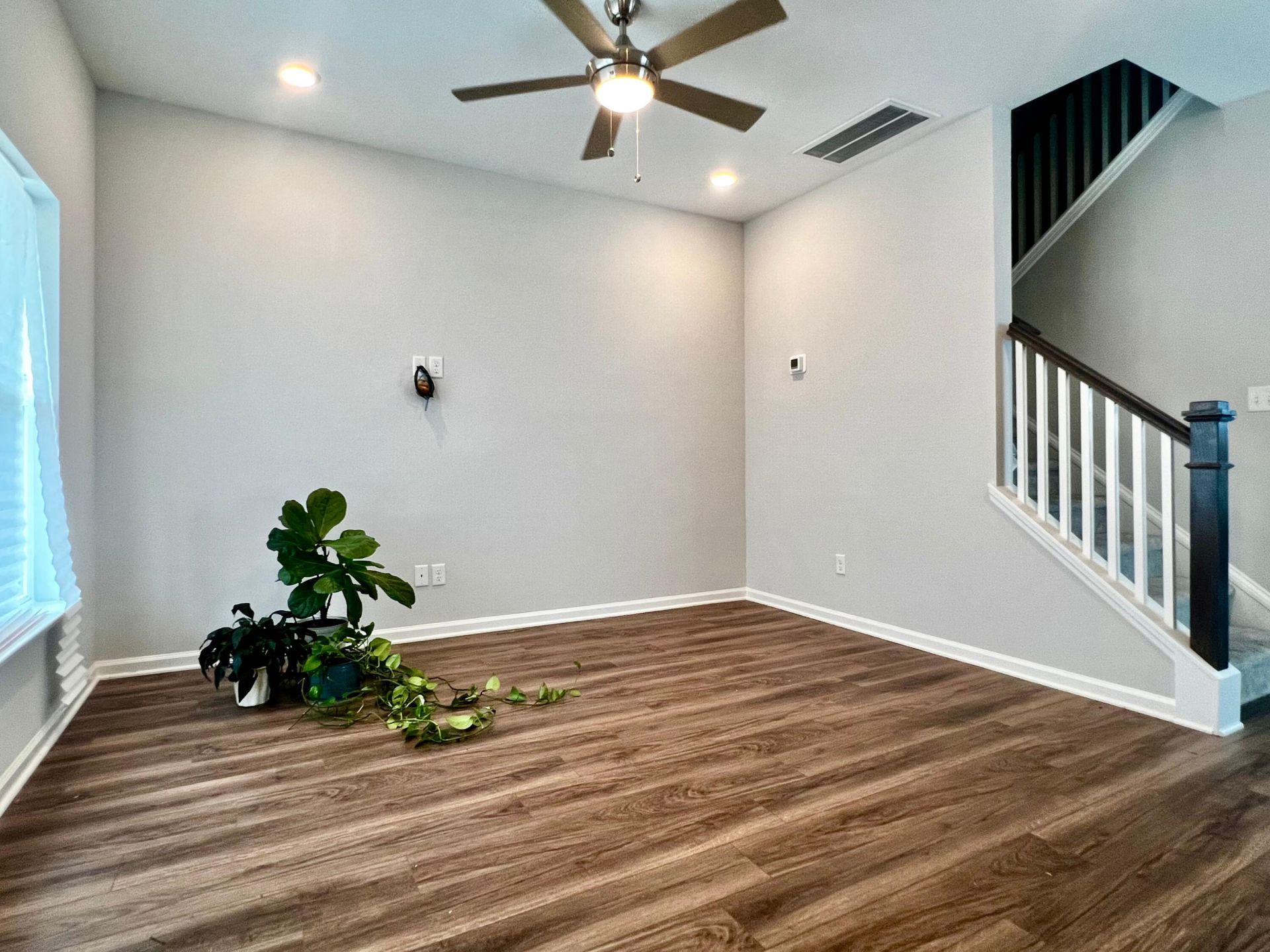 234 Swallowtail Lane Photo 4