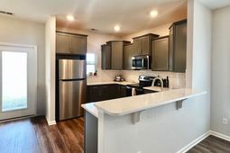 234 Swallowtail Lane photo 4