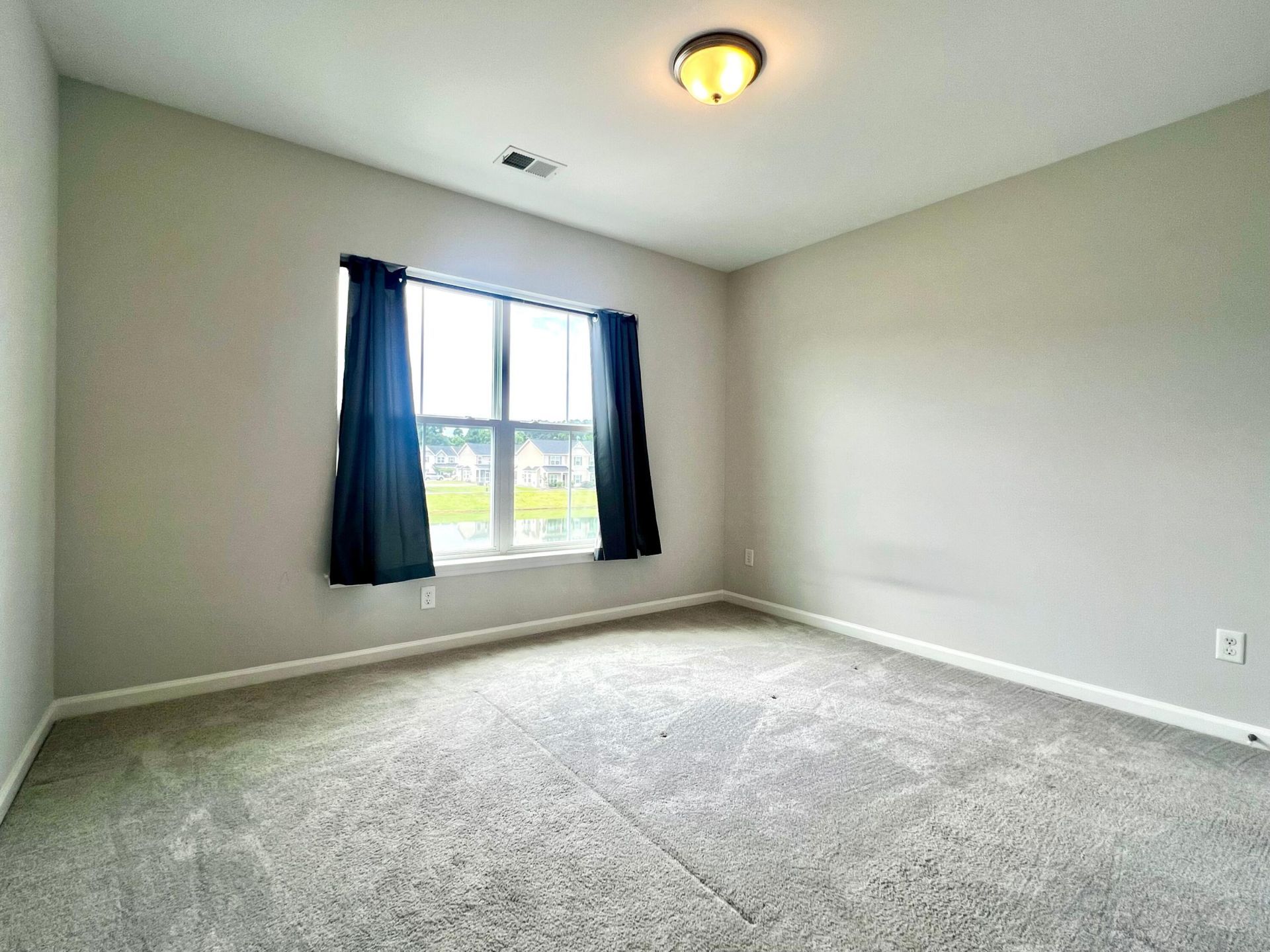 234 Swallowtail Lane Photo 9
