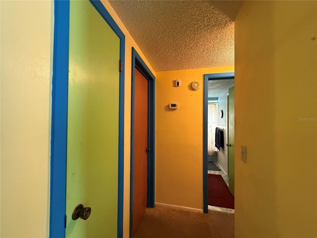 7301 San Carlos Drive, Port Richey, FL 34668 Photo