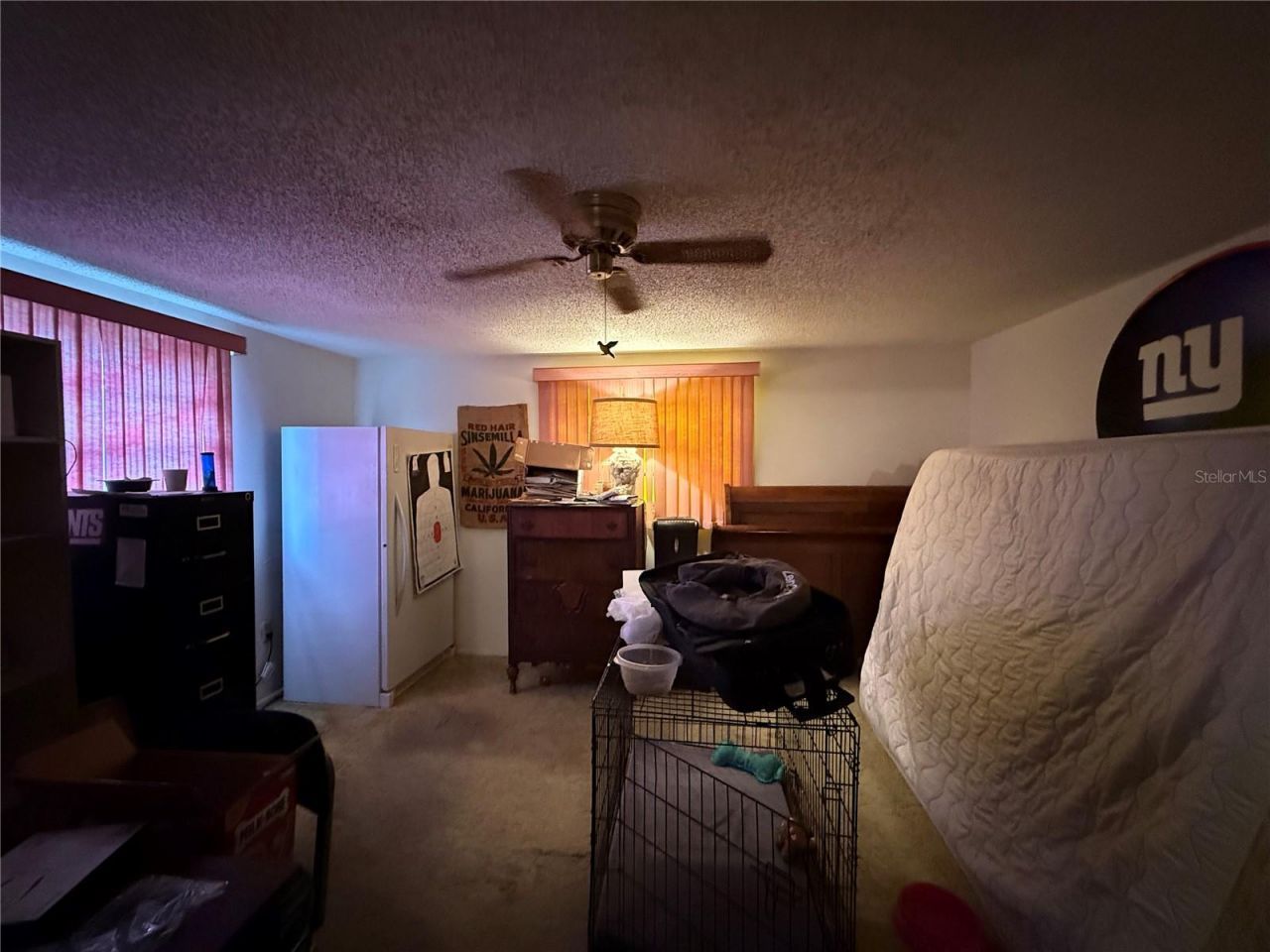 7301 San Carlos Drive, Port Richey, FL 34668 Photo