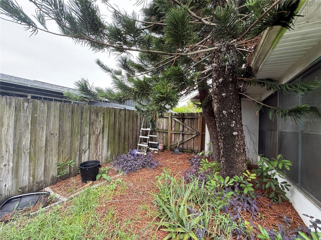 7301 San Carlos Drive, Port Richey, FL 34668 Photo