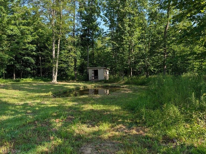 748 Twp. Rd. 150, Sullivan, OH 44880 Photo 11
