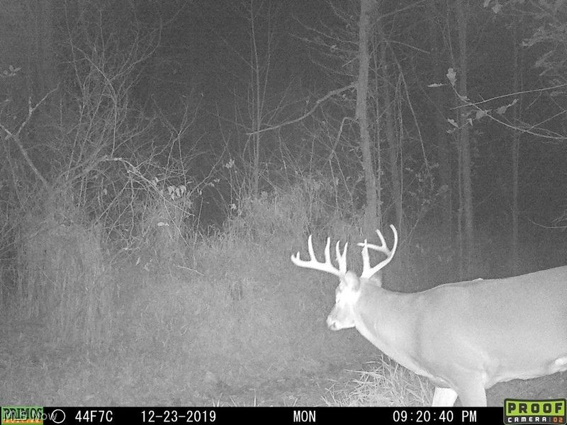 748 Twp. Rd. 150, Sullivan, OH 44880 Photo 12