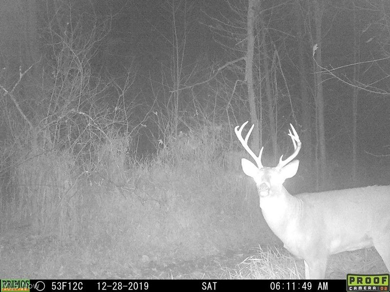 748 Twp. Rd. 150, Sullivan, OH 44880 Photo 2
