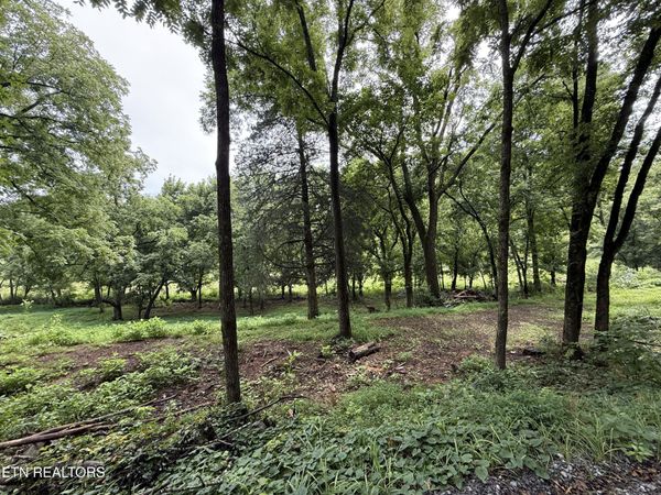 Lot 1 Mitchell Rd, New Market, TN 37820