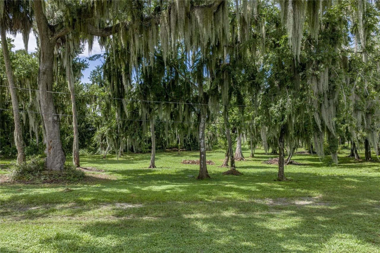 2901 Kayworth Road, Lake Wales, FL 33898 Photo