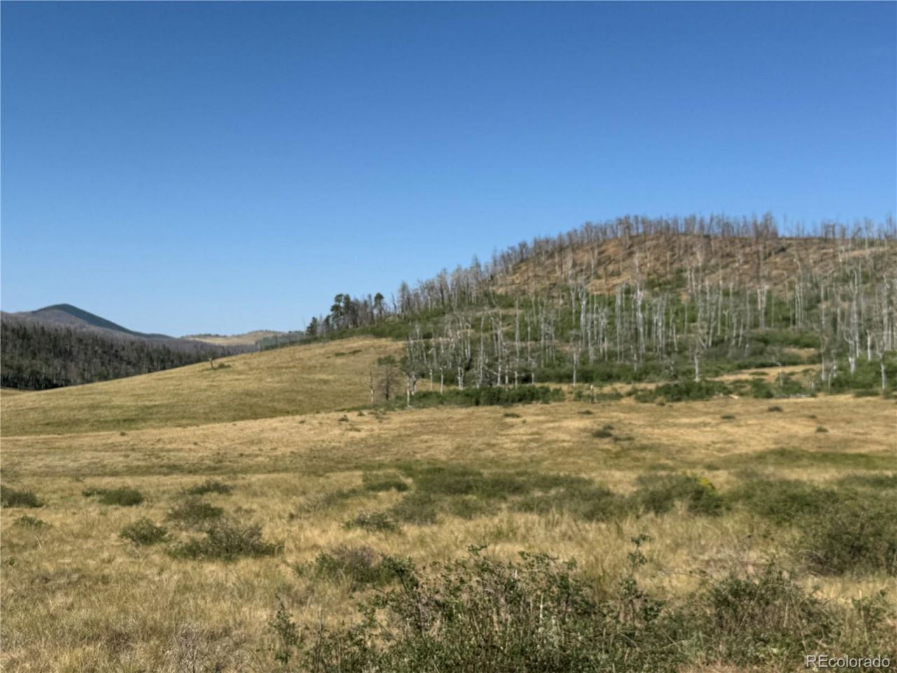 Lot 427 Kettleson Place, Fort Garland, CO 81133 Main Photo