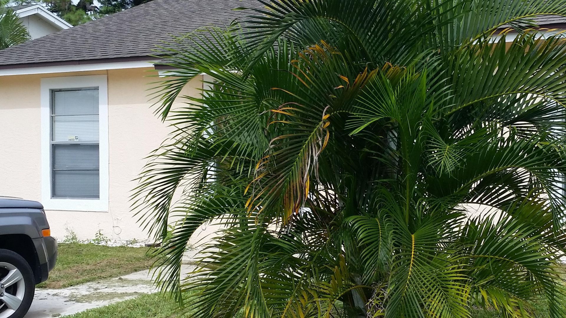 460 Fleming Avenue, Greenacres, FL 33463 Photo