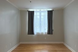 705 Maple Street  photo 4