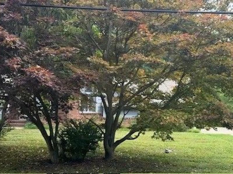 12963 Lynn Drive , Chesterland, OH 44026 Photo 3