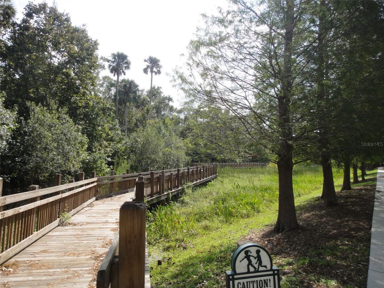 828 Morning Glory Lane, Celebration, FL 34747 Photo