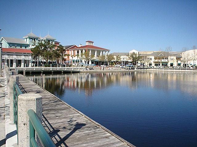 828 Morning Glory Lane, Celebration, FL 34747 Photo