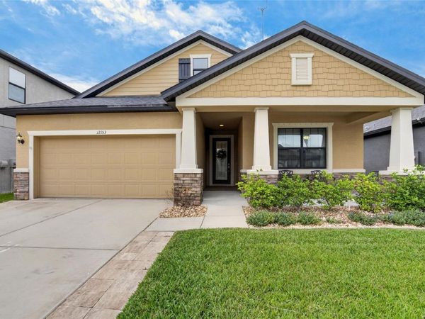 12153 CREEK PRESERVE DRIVE , RIVERVIEW, FL 33579