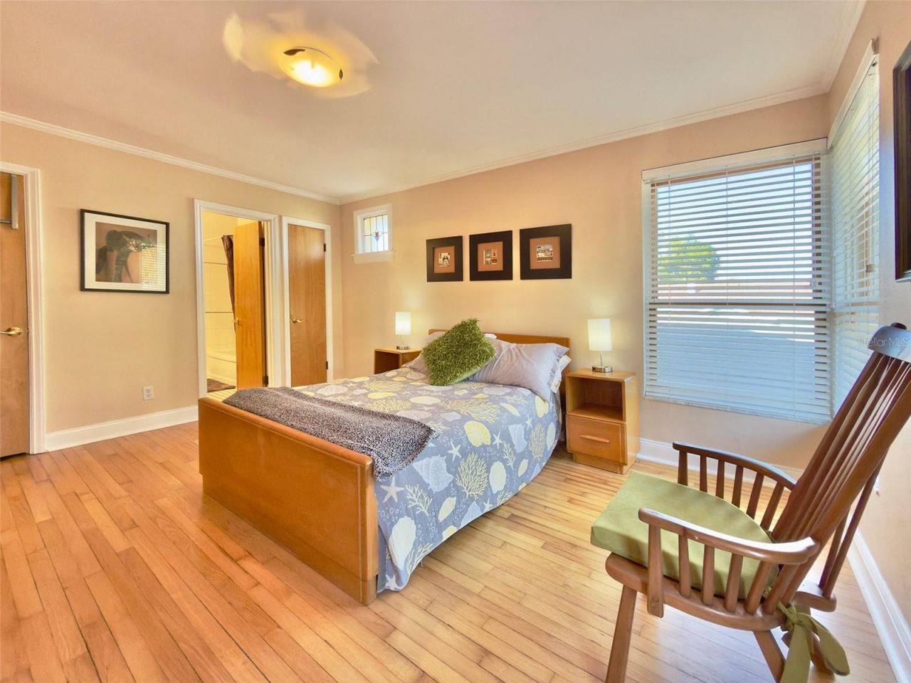 237 20th Avenue Se, Saint Petersburg, FL 33705 Photo