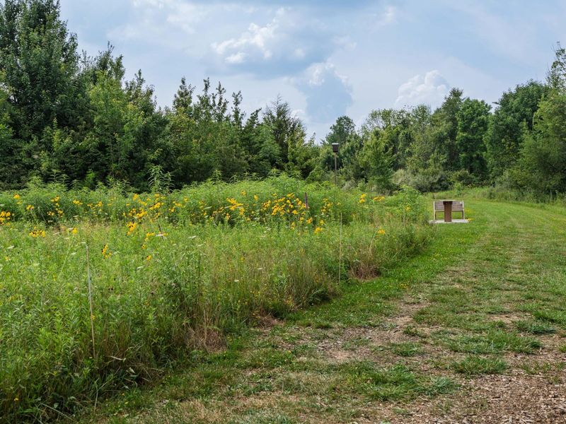 7326 OH State Route 19, Unit Unit 9  Lo, Mount Gilead, OH 43338 Photo 74