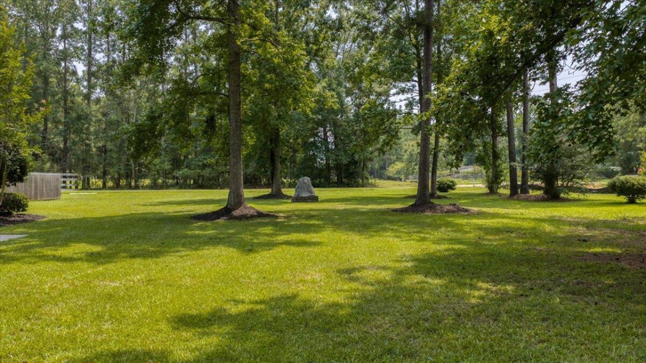 822 Highway 61 Photo 4