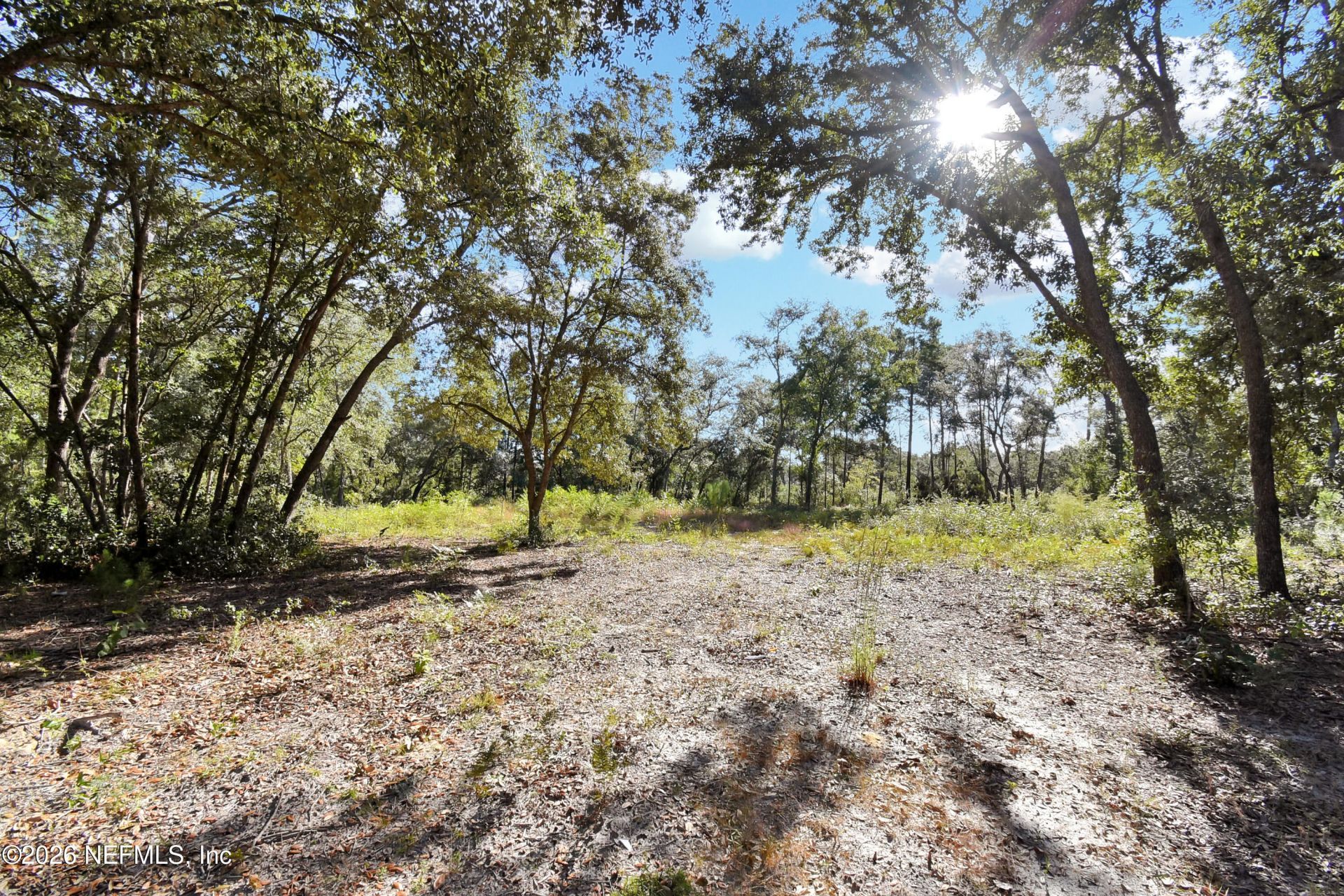 7455 Rye Court, Keystone Heights, FL 32656 Photo