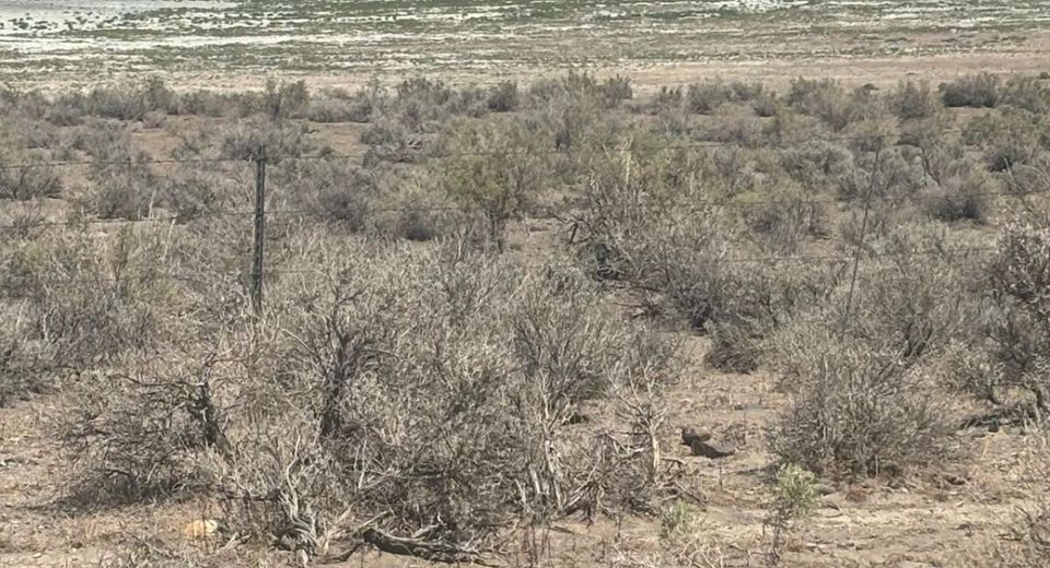074-390-18 Unknown, Reno, NV 89510 Photo