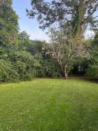 1133 Island View Drive Photo 27