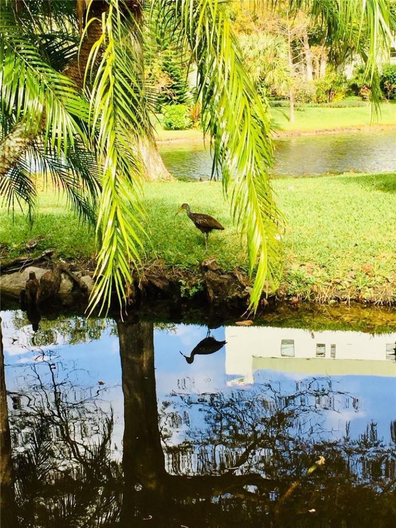2316 S Cypress Bend Drive, Unit 220, Pompano Beach, FL 33069 Photo