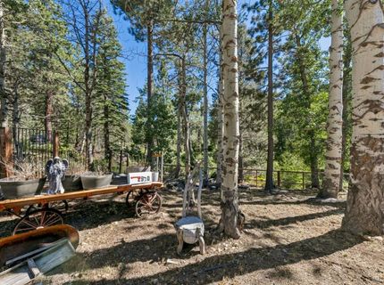 2990 State Highway 89, South Lake Tahoe, CA 96150 Photo