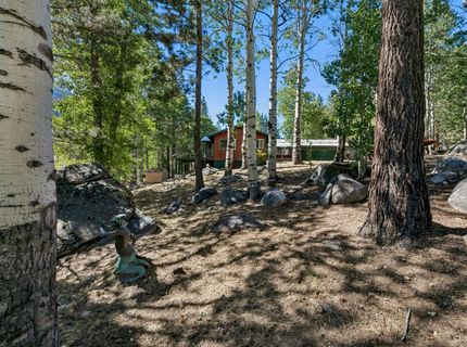 2990 State Highway 89, South Lake Tahoe, CA 96150 Photo