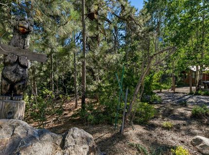 2990 State Highway 89, South Lake Tahoe, CA 96150 Photo