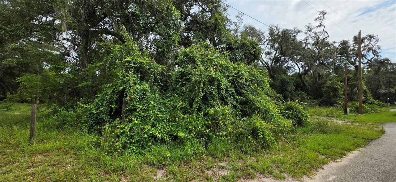 0 Round Table Road, Ridge Manor, FL 33523 Photo