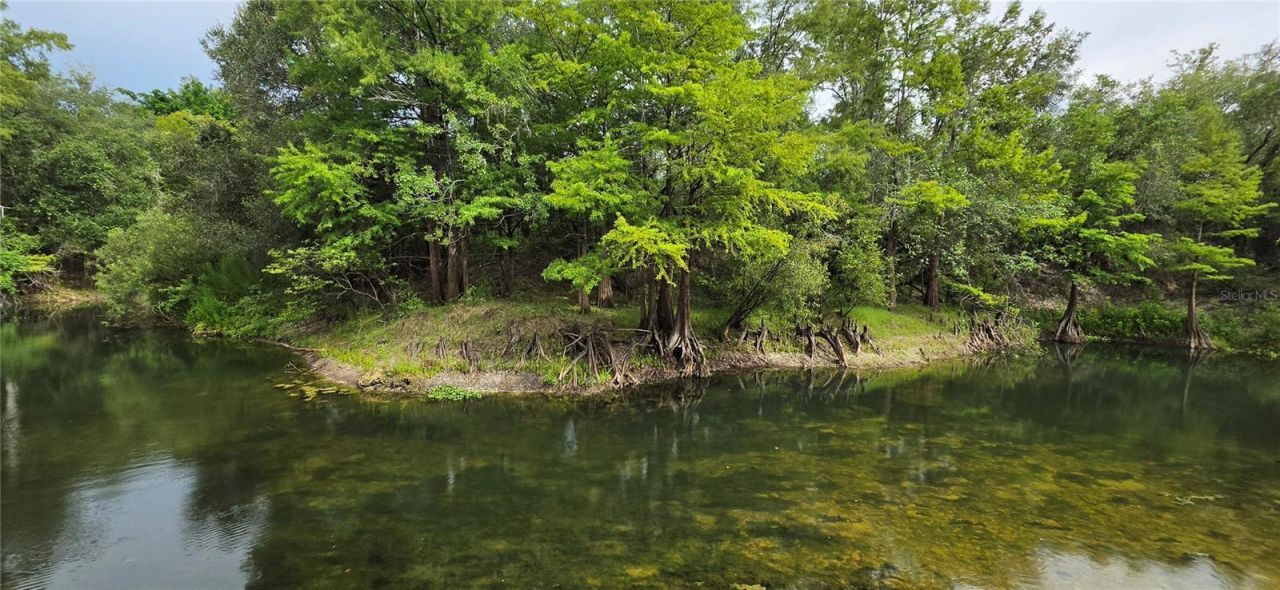 0 Round Table Road, Ridge Manor, FL 33523 Photo