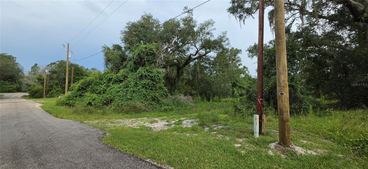 0 Round Table Road, Ridge Manor, FL 33523 Photo
