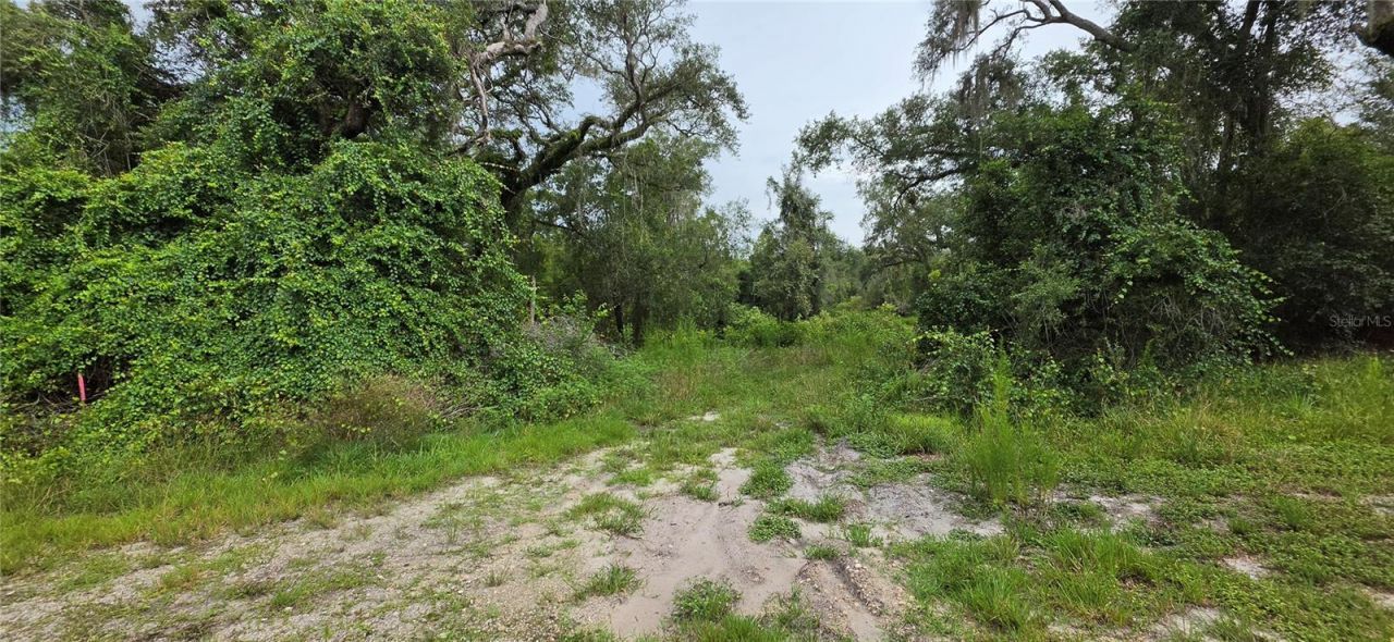 0 Round Table Road, Ridge Manor, FL 33523 Photo