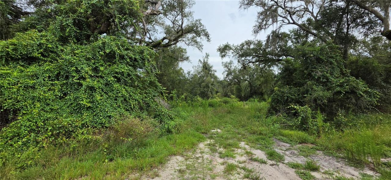 0 Round Table Road, Ridge Manor, FL 33523 Photo