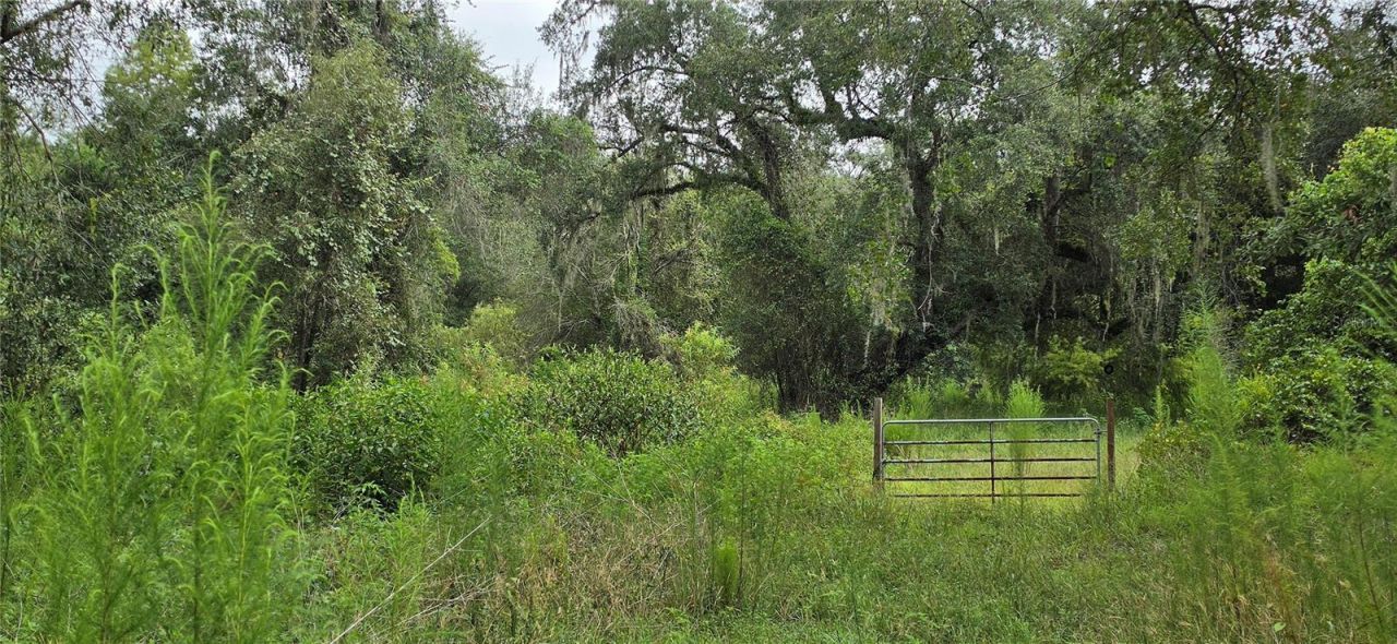 0 Round Table Road, Ridge Manor, FL 33523 Photo