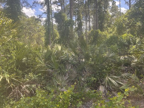 128 FOREST Street, Georgetown, FL 32139