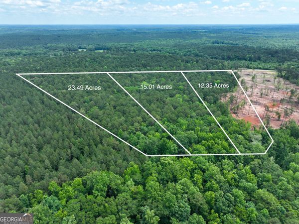 12.35 +/- AC White Road, Pine Mountain, GA 31822